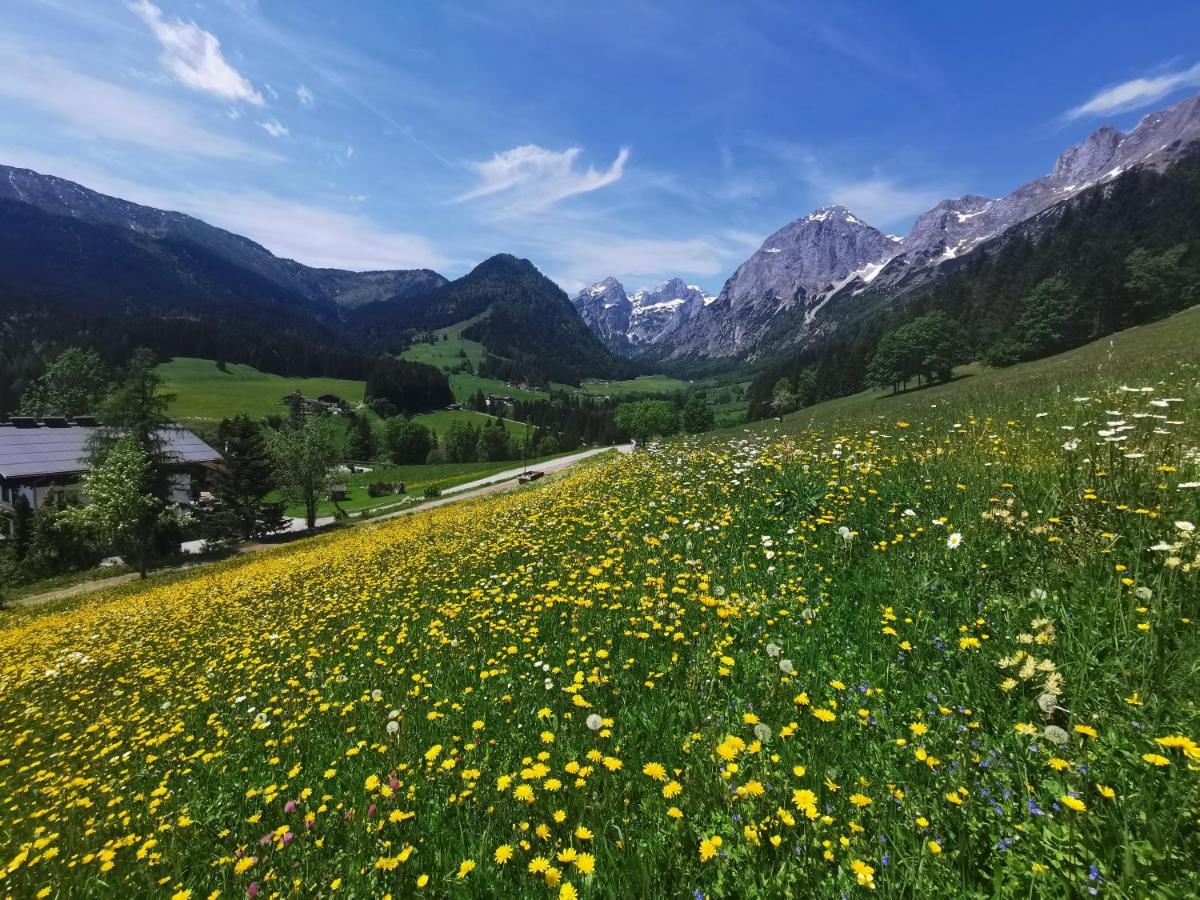 Saunahaus Annaberg im Lammertal