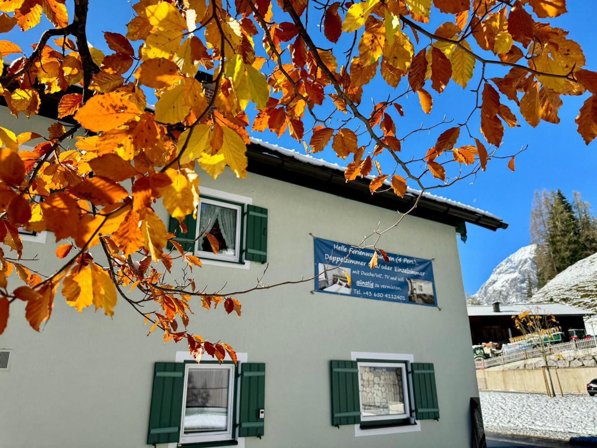 Saunahaus Apartment